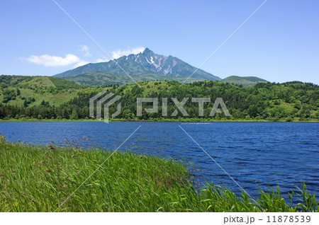 利尻島、オタドマリ沼 11878539