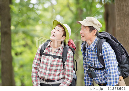 登山をするシニア夫婦 11878691