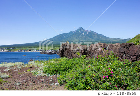 利尻島、仙法志御崎公園 11878869