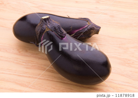 卵形茄子 11878918