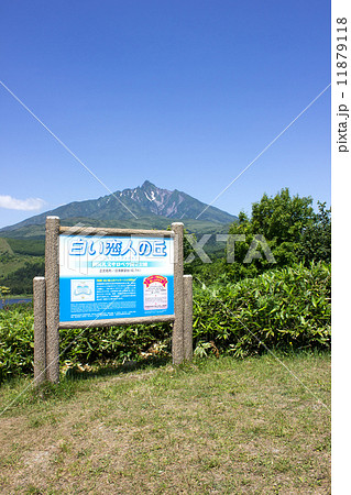 利尻島、沼浦展望台、白い恋人の丘 利尻島、沼浦展望台、白い恋人の丘 11879118