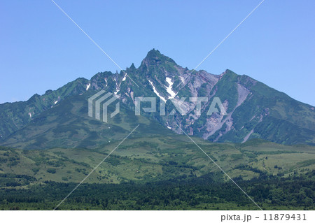 利尻島、沼浦展望台から望む利尻岳南稜 11879431