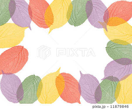 紅葉フレーム 11879846