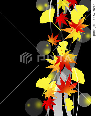 紅葉狩り 11879847