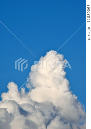 夏空の入道雲と青空のコピースペース 11880068