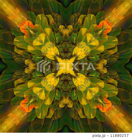 seamless pattern 11880257