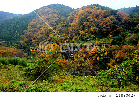 水郡線「雨の日の紅葉風景と鉄橋を走る列車」 11880427