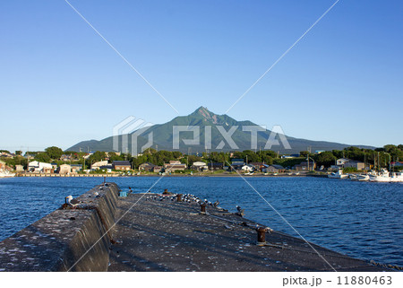 利尻島、本泊漁港 利尻島、本泊漁港 11880463