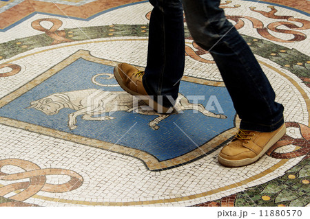 イタリア　ミラノ　ガッレリアの牡牛のモザイク2 11880570