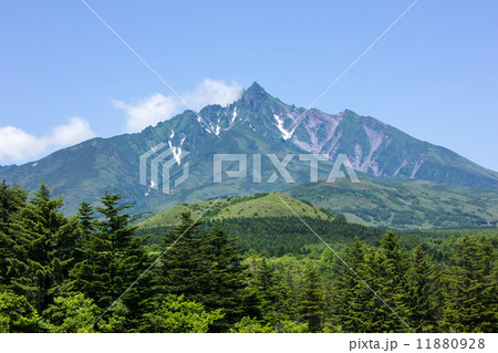 利尻島、南浜湿原より望む利尻山南稜 11880928