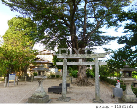 周防国分寺 11881235