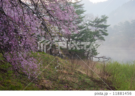 岩神貯水池4 岩神貯水池4 11881456