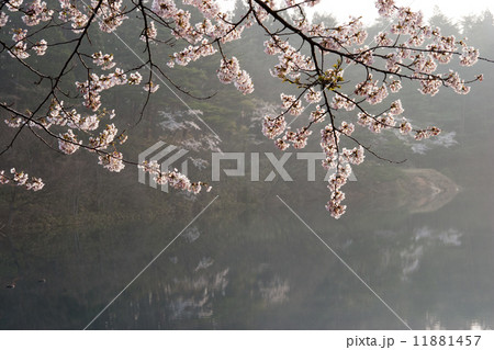 岩神貯水池3 岩神貯水池3 11881457