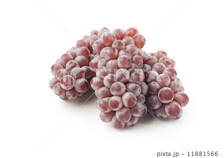 ぶどう ぶどう 11881566
