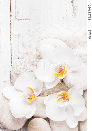 Orchid spa concept 11881940