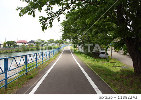 県道青森十和田湖自転車道 11882243