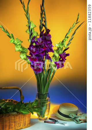 Still Life of Cut Flowers - Photographed using 'Light Painting' techniques 11882359