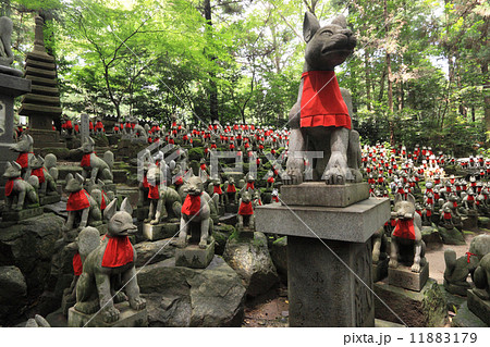 霊狐塚　 11883179