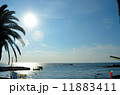 夏の海 11883411