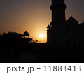 インドの夕日 11883413