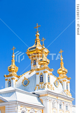 Russia, Petrodvorets-   Peterhof Palace 11883441