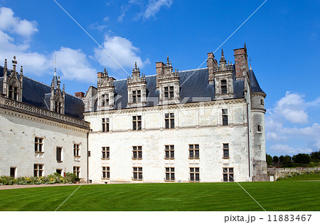 castle of a valley of the river Loire. France. Amboise castle.. 11883467
