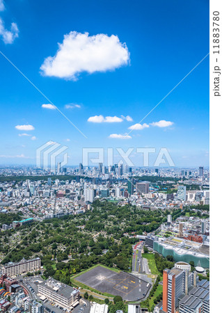 新宿副都心と青空 11883780