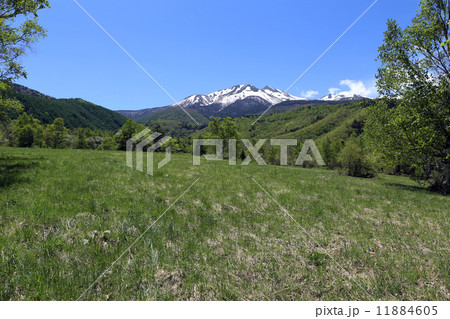 一の瀬園地 11884605