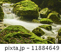 神秘的な滝 11884649