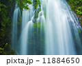 神秘的な滝 11884650