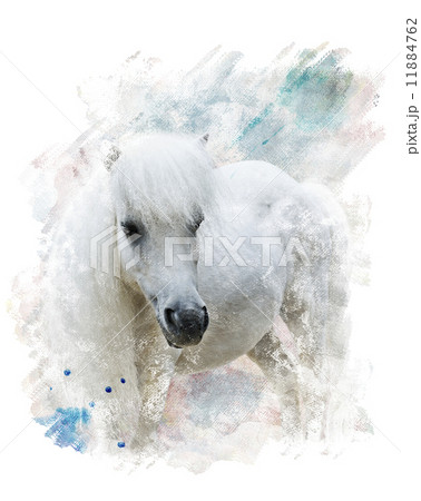 Watercolor Image Of White Pony Watercolor Image Of White Pony 11884762