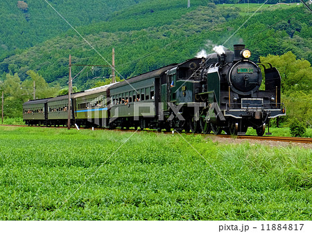 大井川鉄道 SL 大井川鉄道 SL 11884817