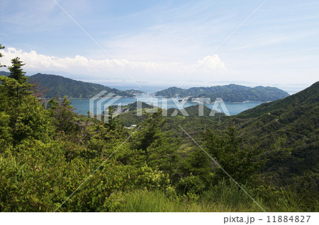 瀬戸内海　多島美 11884827