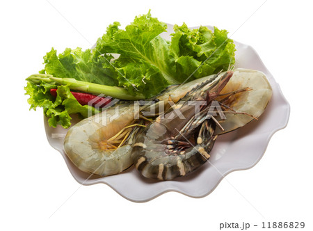 King and waterleg shrimps King and waterleg shrimps 11886829