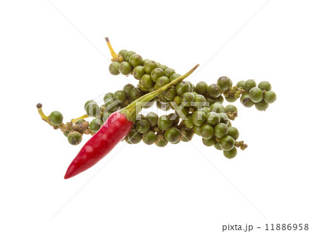 Kampot pepper 11886958