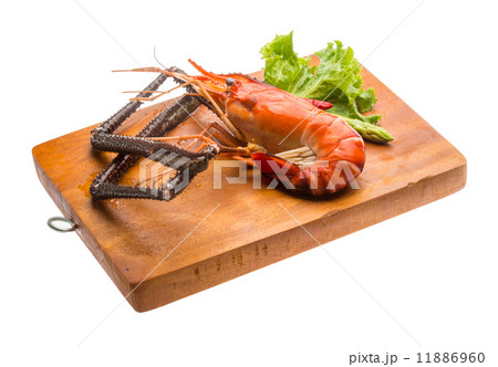 Giant Freshwater Prawn 11886960