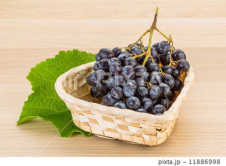 Grape 11886998