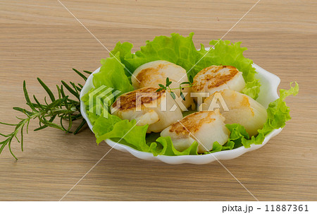 Grilled scallops Grilled scallops 11887361