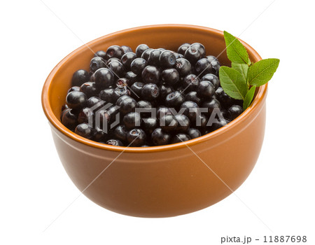 Blueberry Blueberry 11887698
