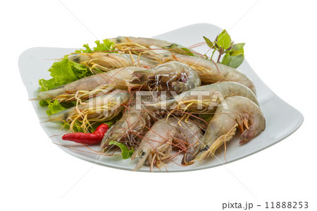Raw tiger shrimps Raw tiger shrimps 11888253