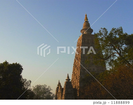 朝焼けの大塔（ブッダガヤ） 11888899