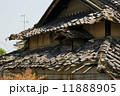廃屋の屋根 11888905