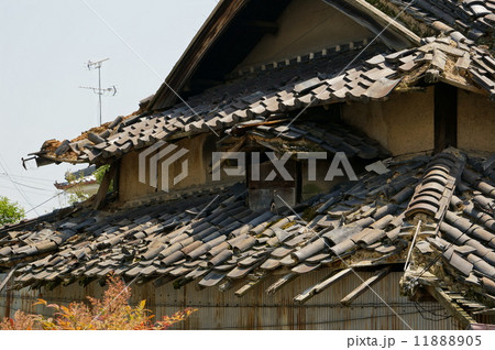 廃屋の屋根 廃屋の屋根 11888905