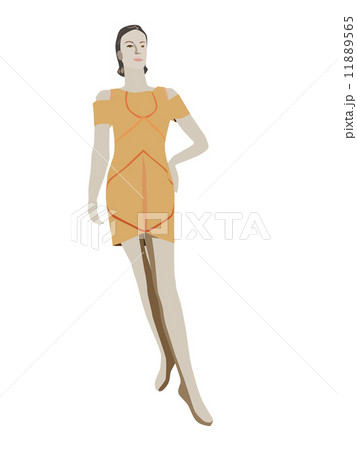 Vector fashion 11889565