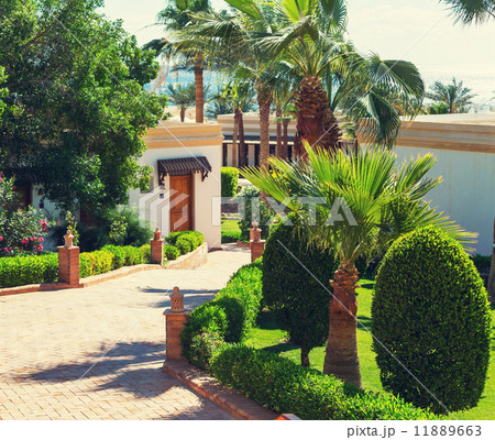 Garden Garden 11889663