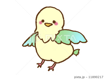 鳥 鳥 11890217