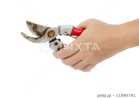 Garden Pruner in hand 11890791