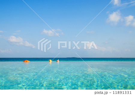 Infinity Pool in Maldives Infinity Pool in Maldives 11891331