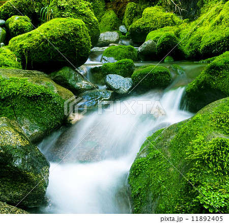 Cascading Waterfall 11892405