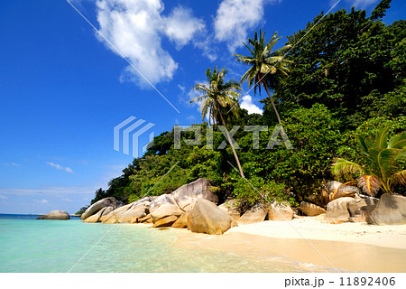 Tropical Island Tropical Island 11892406
